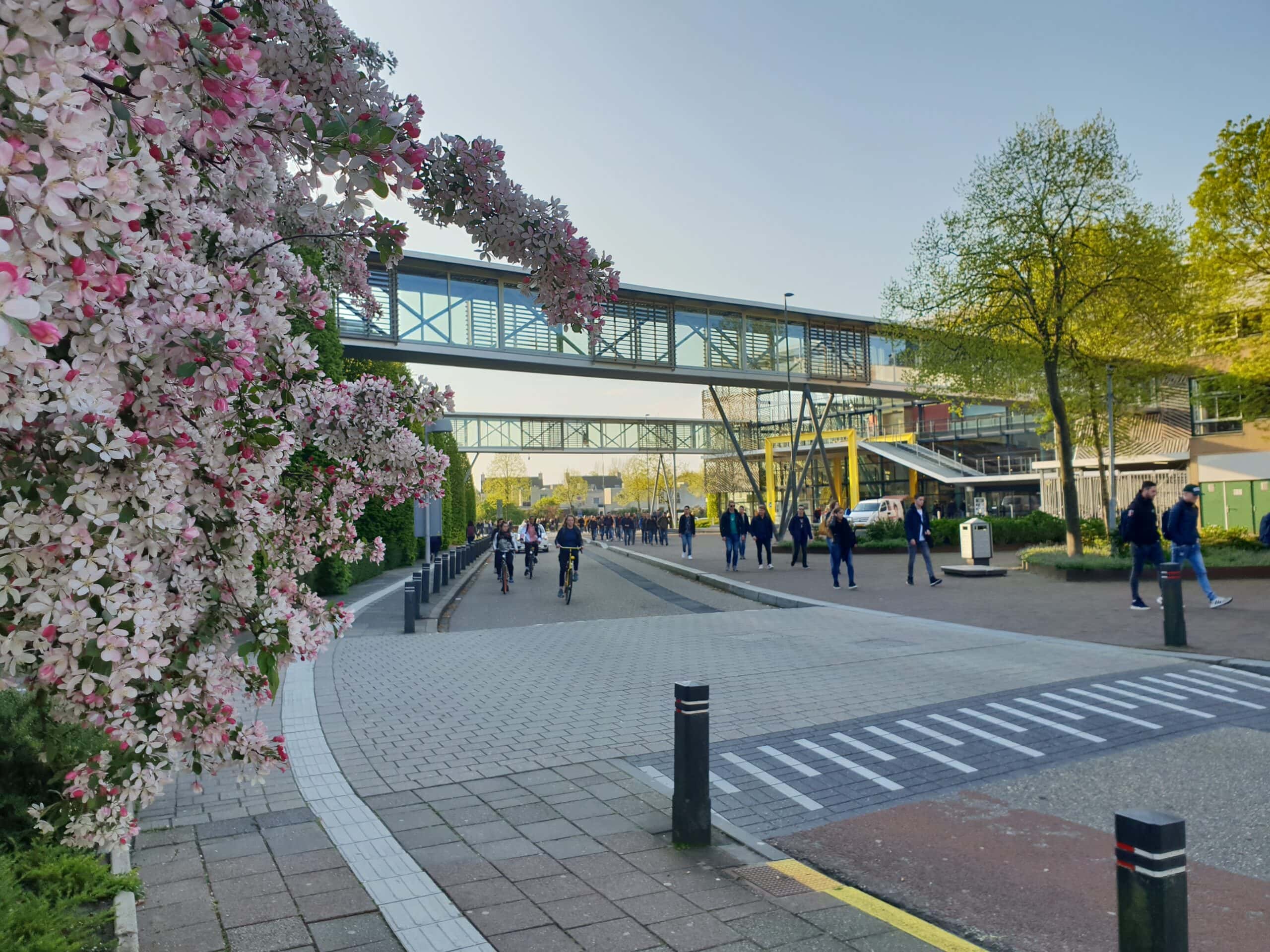 Vibrant university campus scene with students, modern architecture, and blooming trees.